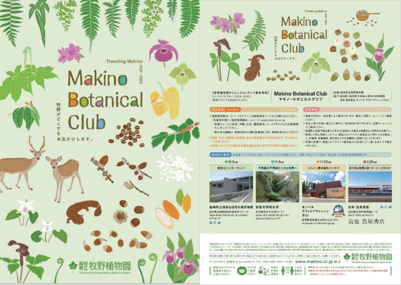 マキノ ボタニカルクラブ 3 どんぐり標本箱をつくろう 学ぶ 高知県生涯学習ポータルサイト まなvivasearch