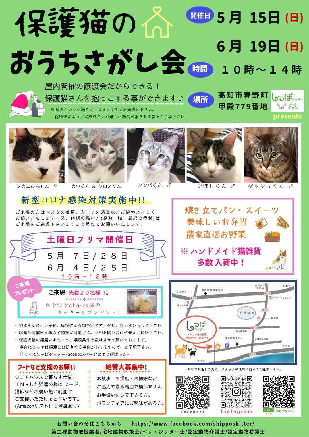保護猫のおうちさがし会｜学ぶ｜高知県生涯学習ポータルサイト