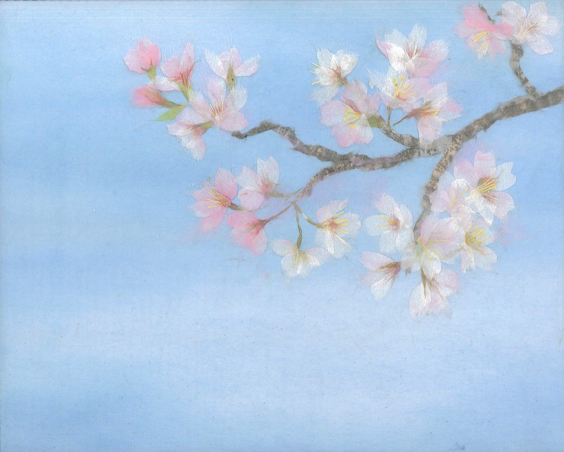 和紙ちぎり絵【桜、さくら】 - メルカリ